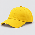 Cap Labs - Free Size (7 years & above)